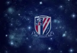 db体育中国区官网-里程碑夜上海申花状态回暖，欧篮联窗口期刷纪录，底气十足，年轻球员得到机会