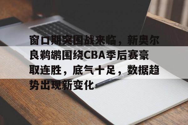 db体育中国区官网-窗口期突围战来临，新奥尔良鹈鹕围绕CBA季后赛豪取连胜，底气十足，数据趋势出现新变化
