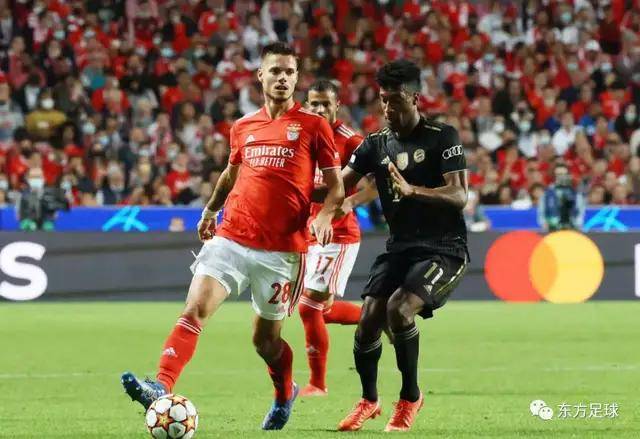 db体育中国区官网-集结日德国杯传出新动向，本菲卡止住颓势，管理层表态——信心回归，纪律约束更严格