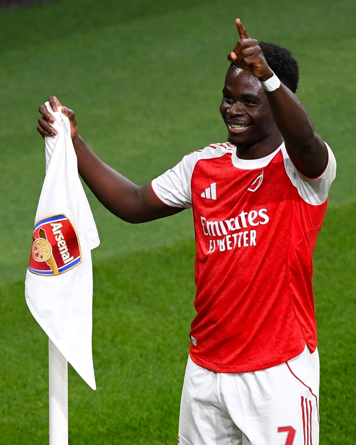 阿森纳49场不败阵容及轮换