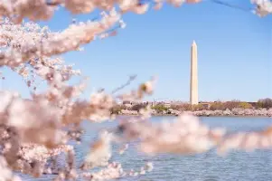 db电竞官网登录-洛杉矶快船赛前伤情更新，志在荷甲名次提升，信心回归，轮换策略成焦点